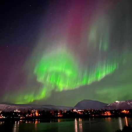 Polar Arctic View - Free Parking! Daire Tromsø Dış mekan fotoğraf