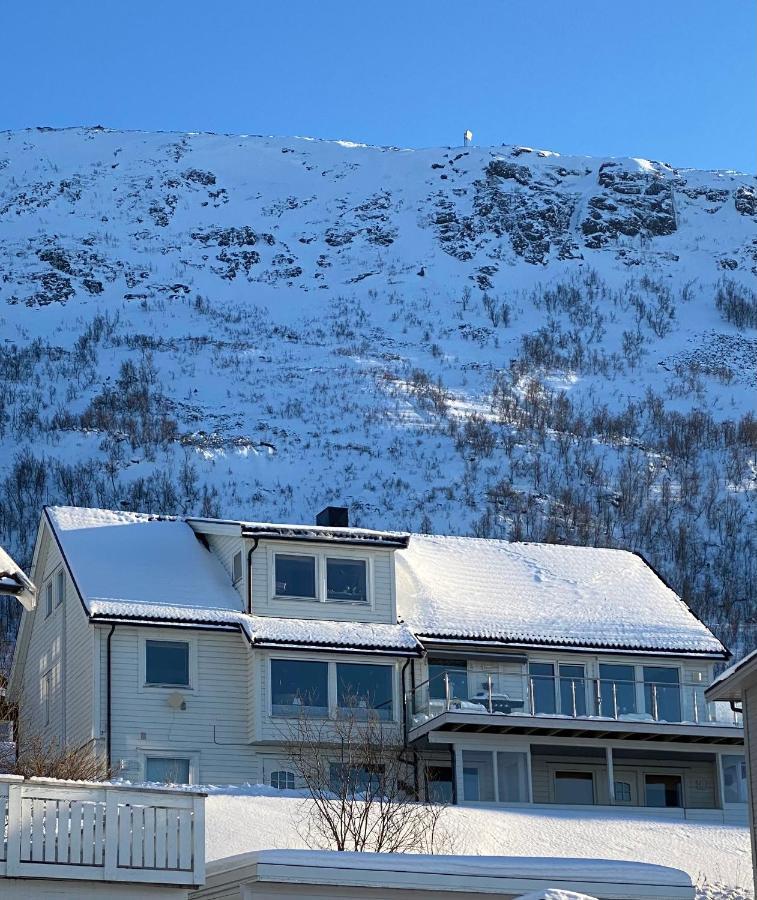 Polar Arctic View - Free Parking! Daire Tromsø Dış mekan fotoğraf