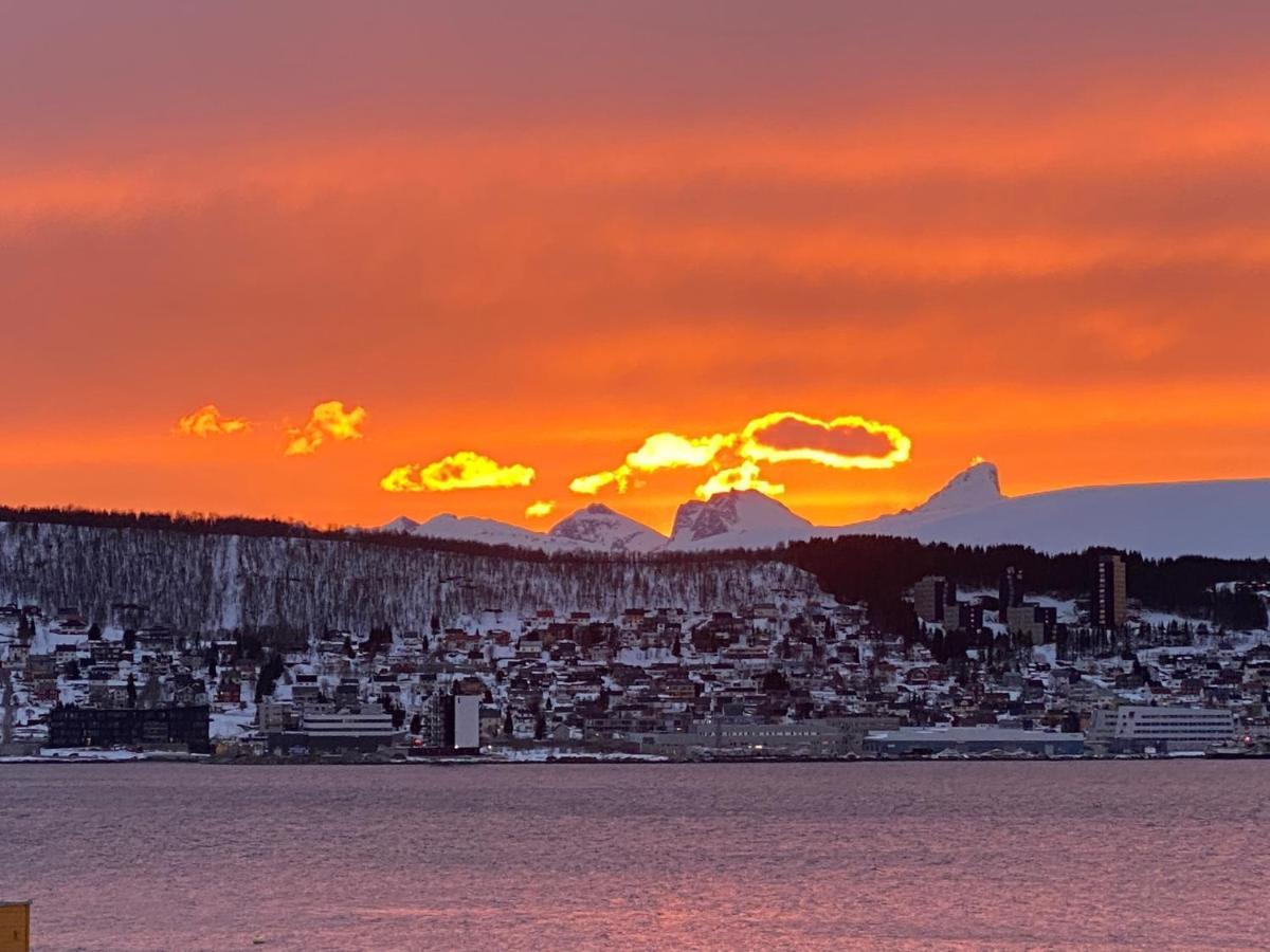 Polar Arctic View - Free Parking! Daire Tromsø Dış mekan fotoğraf