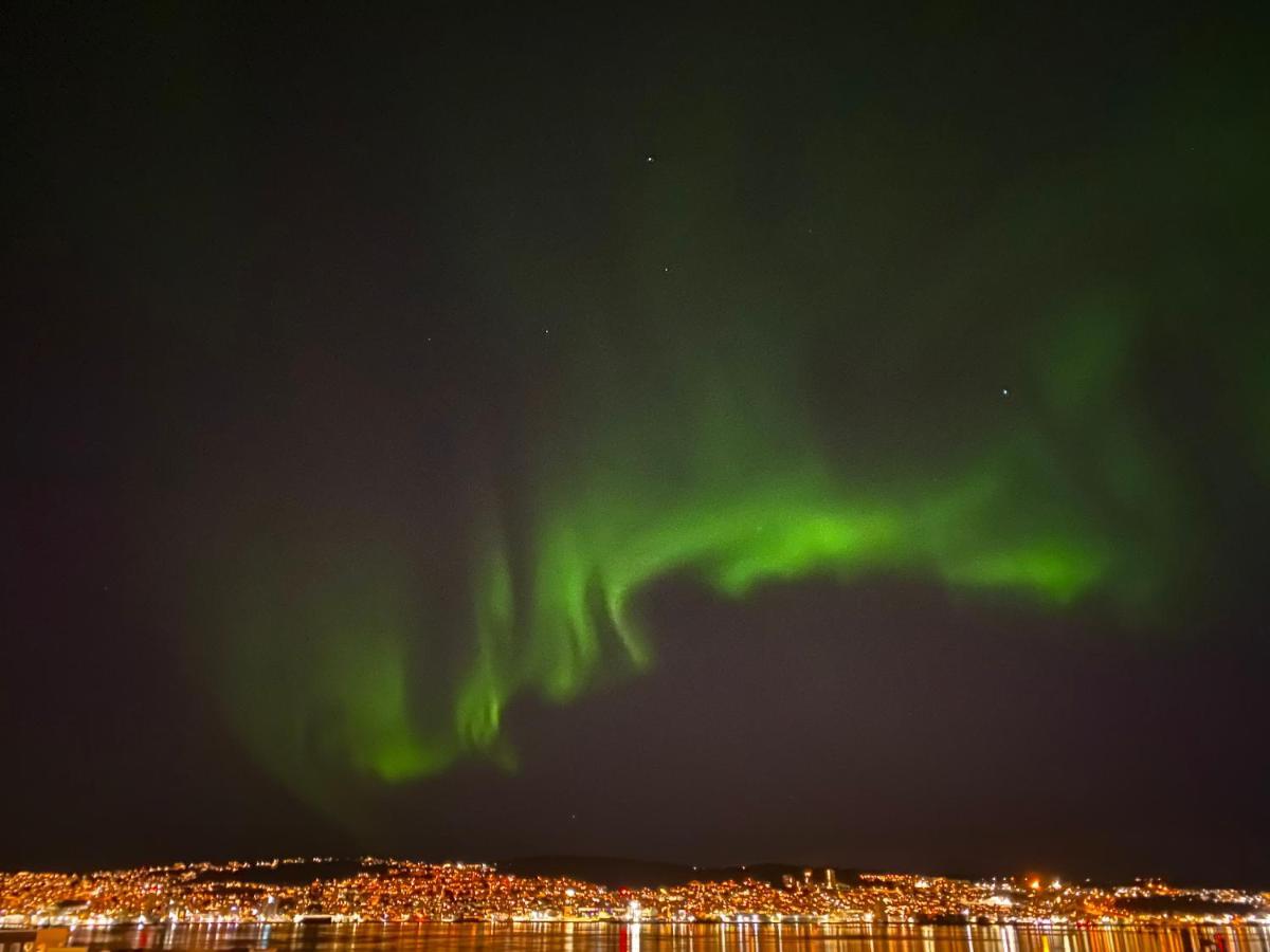 Polar Arctic View - Free Parking! Daire Tromsø Dış mekan fotoğraf