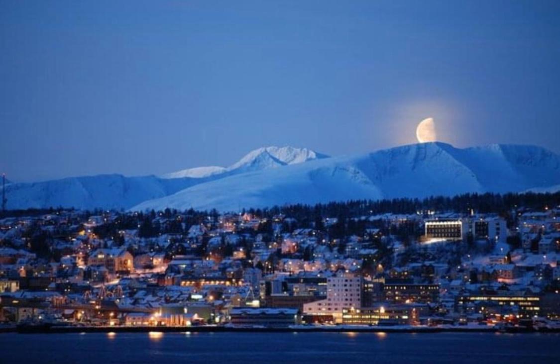 Polar Arctic View - Free Parking! Daire Tromsø Dış mekan fotoğraf